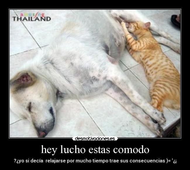 carteles amigos desmotivaciones