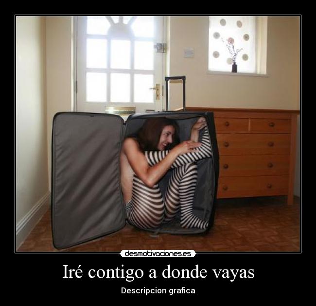 Iré contigo a donde vayas - Descripcion grafica