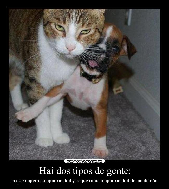 Hai dos tipos de gente: - 