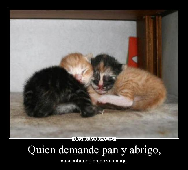 Quien demande pan y abrigo, - va a saber quien es su amigo.