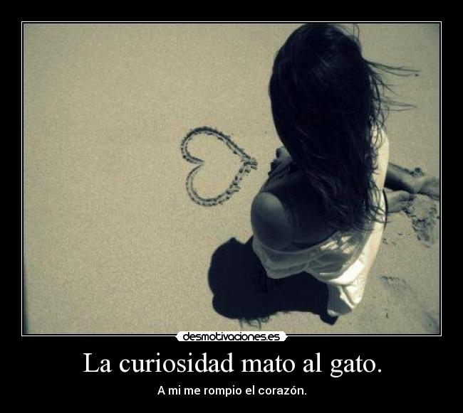 La curiosidad mato al gato. - A mi me rompio el corazón.