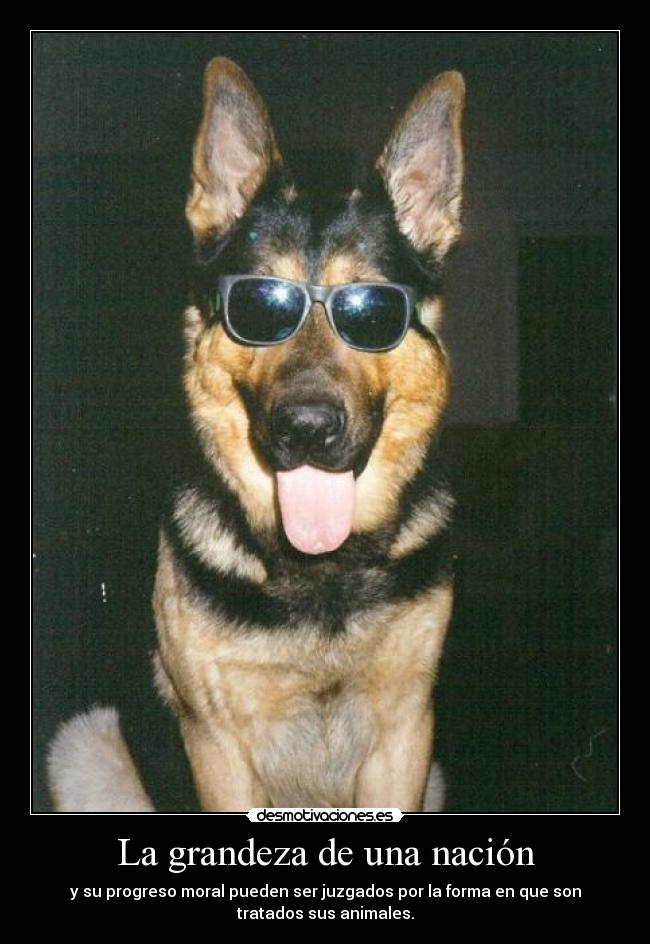 La grandeza de una nación -