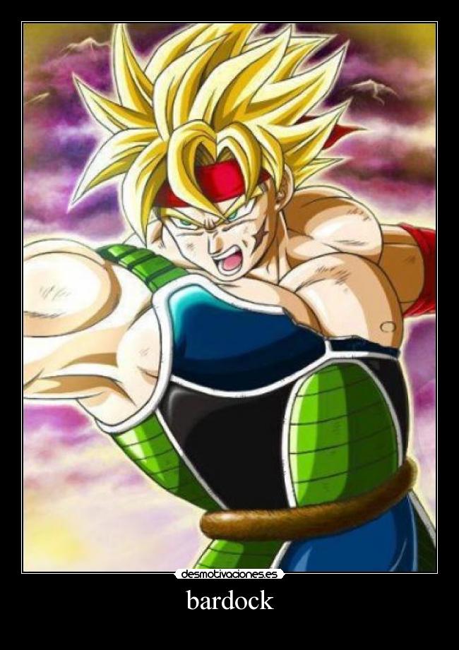bardock - 