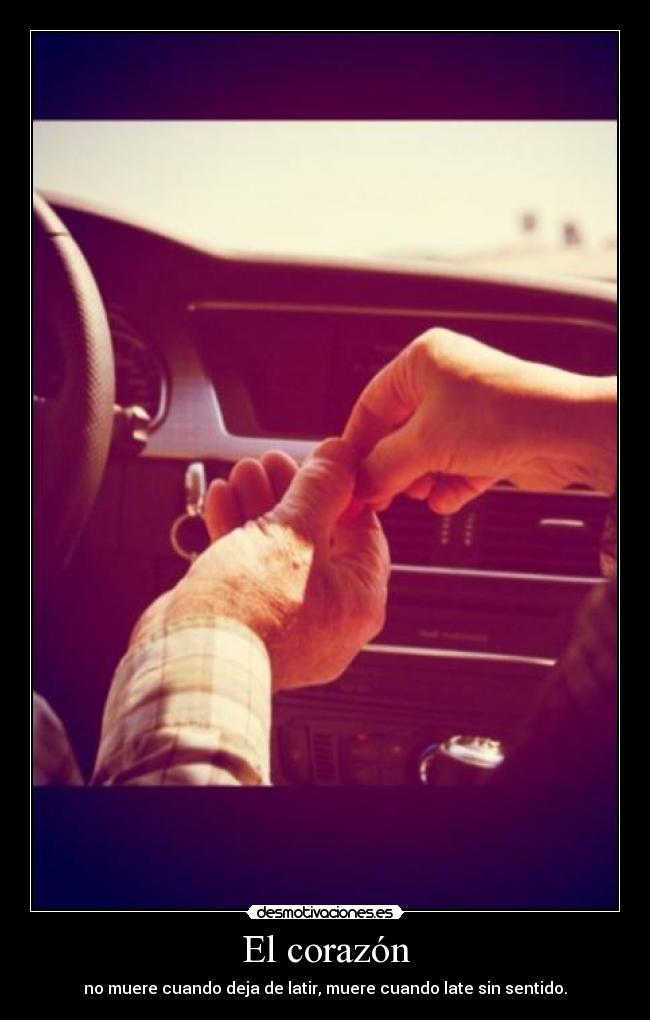 El corazón -