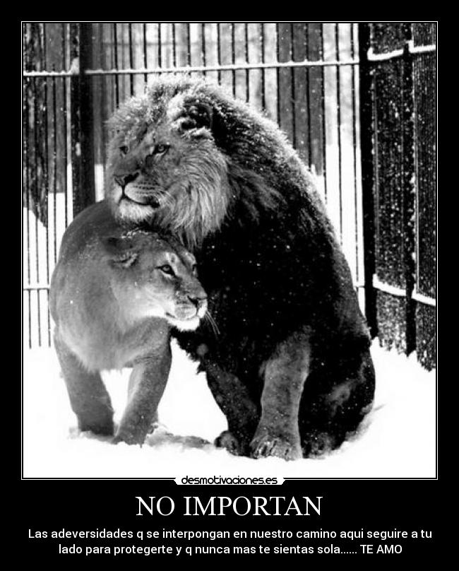 NO IMPORTAN -