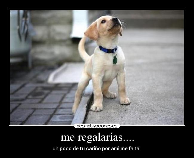 me regalarías.... - un poco de tu cariño por ami me falta♥♥♥