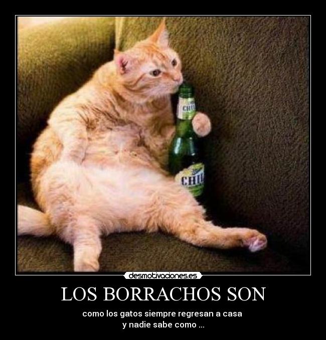 LOS BORRACHOS SON - como los gatos siempre regresan a casa
y nadie sabe como ...
