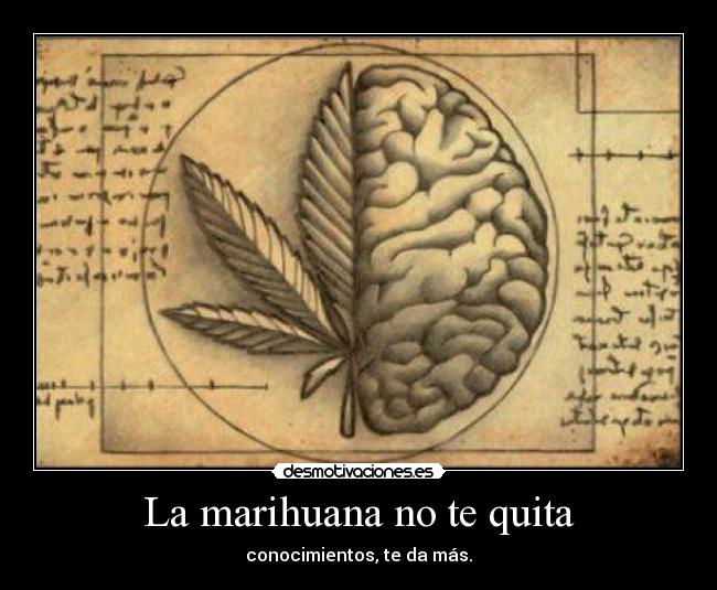 La marihuana no te quita -