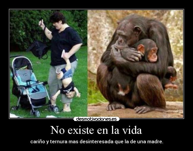 No existe en la vida -