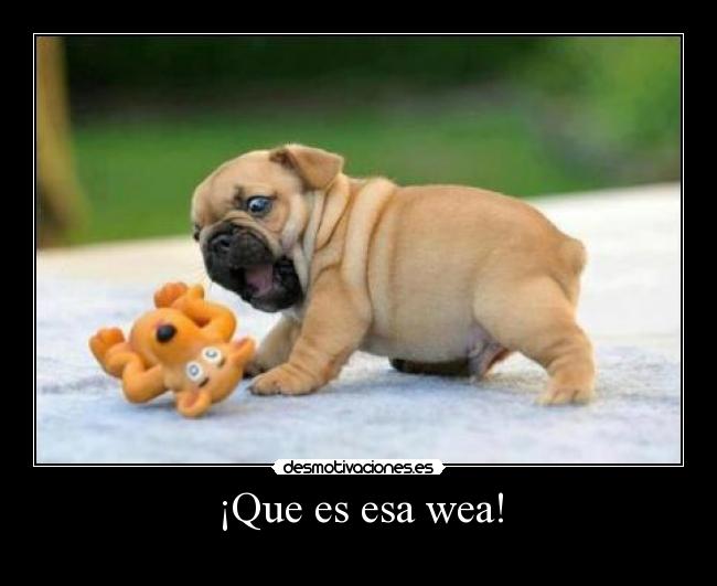 ¡Que es esa wea! -