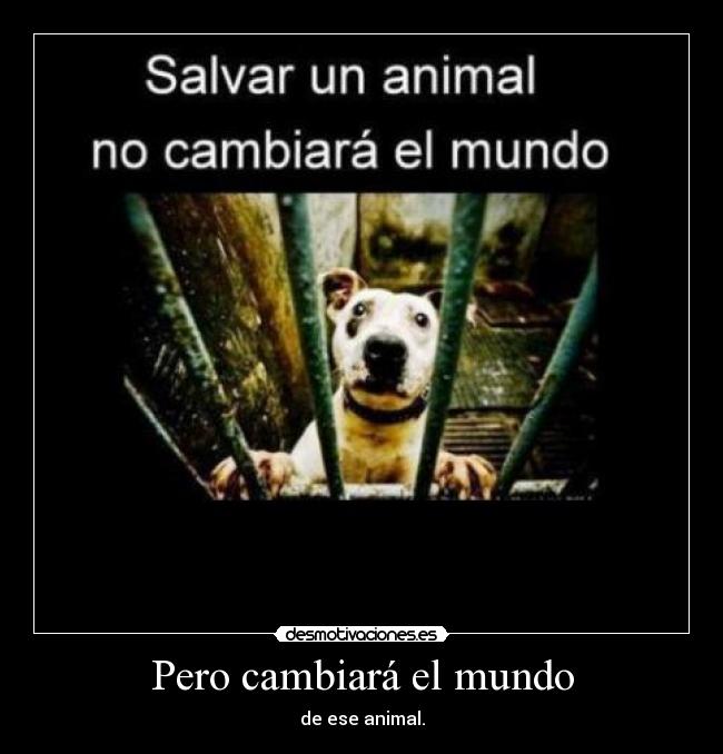Pero cambiará el mundo - de ese animal.