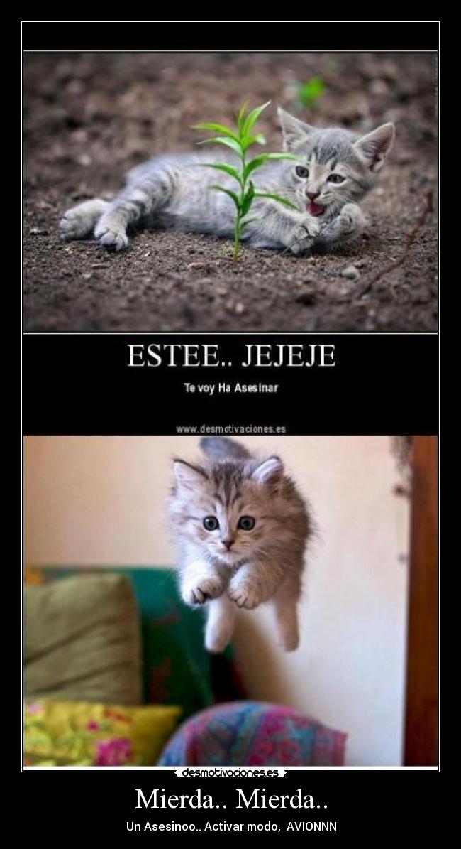 carteles mierdamierdamierdamierda desmotivaciones