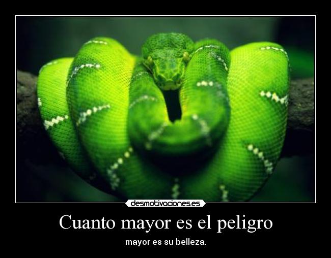 Cuanto mayor es el peligro - mayor es su belleza.