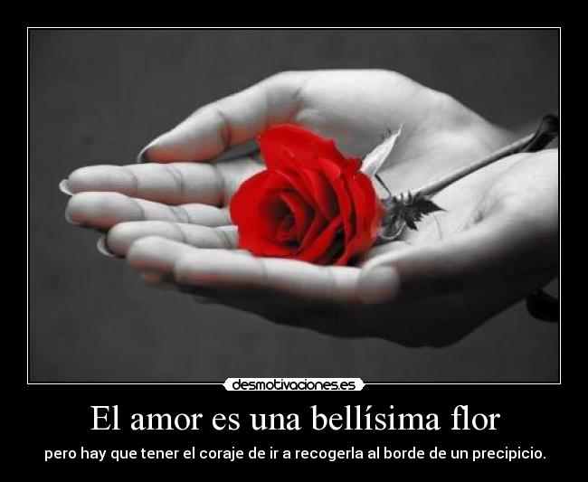 El amor es una bellísima flor - pero hay que tener el coraje de ir a recogerla al borde de un precipicio.