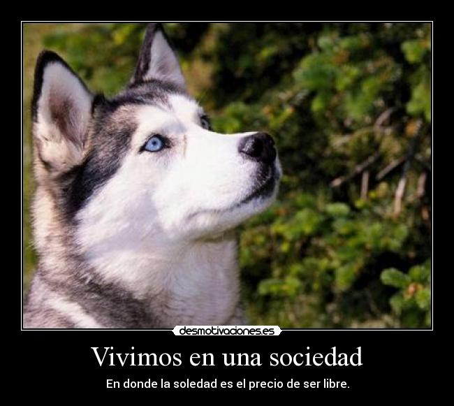 Vivimos en una sociedad - 