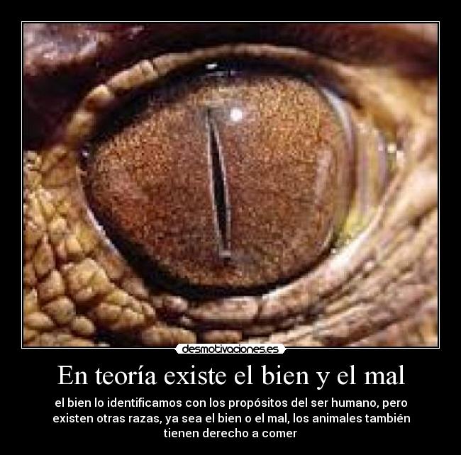 En teoría existe el bien y el mal - el bien lo identificamos con los propósitos del ser humano, pero
existen otras razas, ya sea el bien o el mal, los animales también
tienen derecho a comer