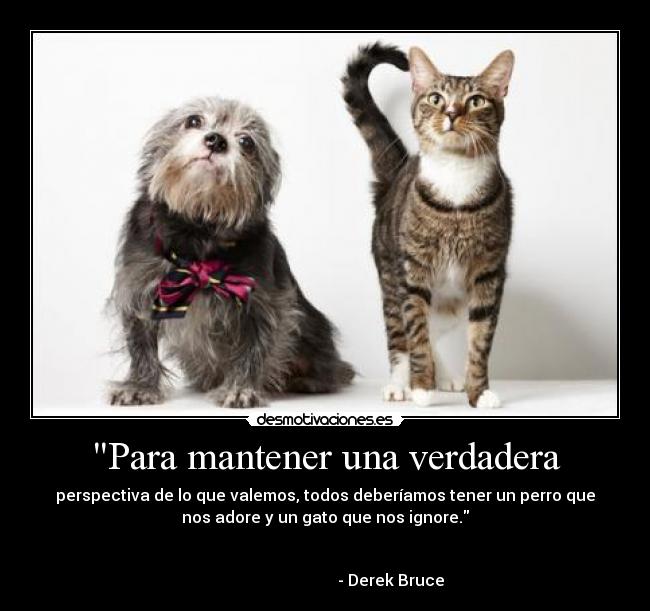 Para mantener una verdadera - perspectiva de lo que valemos, todos deberíamos tener un perro que
nos adore y un gato que nos ignore.

                                                                      
                                 - Derek Bruce