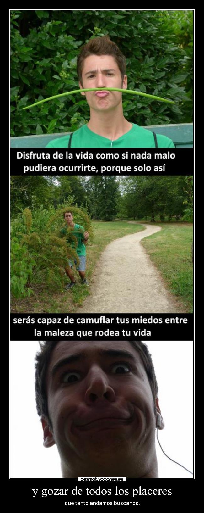 y gozar de todos los placeres - que tanto andamos buscando.