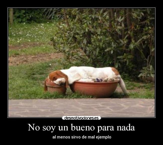 No soy un bueno para nada - al menos sirvo de mal ejemplo