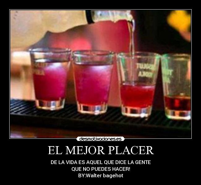 carteles mejor placer desmotivaciones