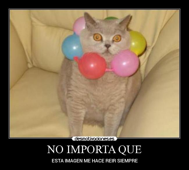NO IMPORTA QUE -
