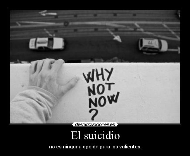 carteles 2desmoconcurso desmotivaciones