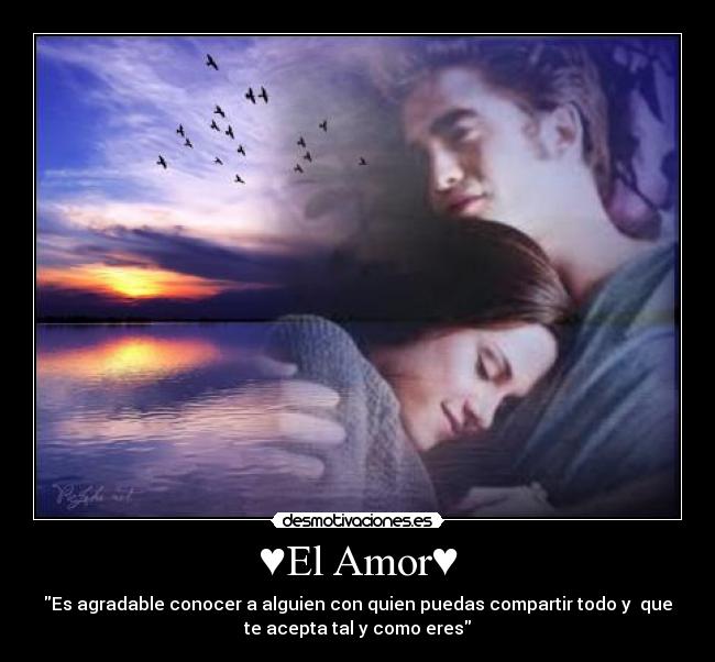 ♥El Amor♥ - Es agradable conocer a alguien con quien puedas compartir todo y que
te acepta tal y como eres