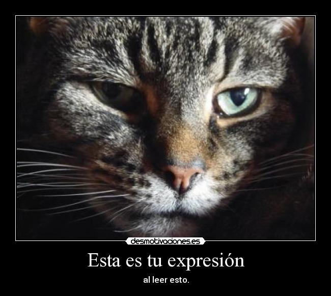 Esta es tu expresión - al leer esto.
