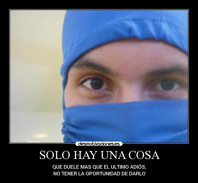 carteles liz desmotivaciones