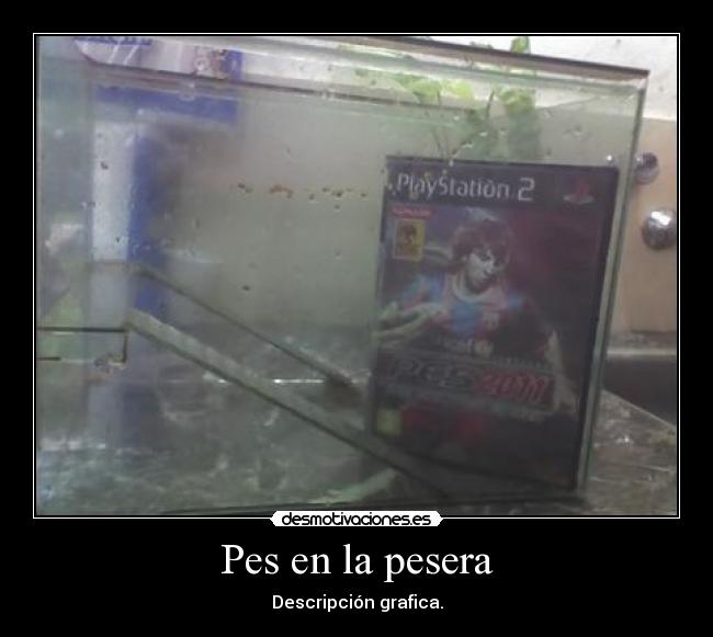 Pes en la pesera - Descripción grafica.