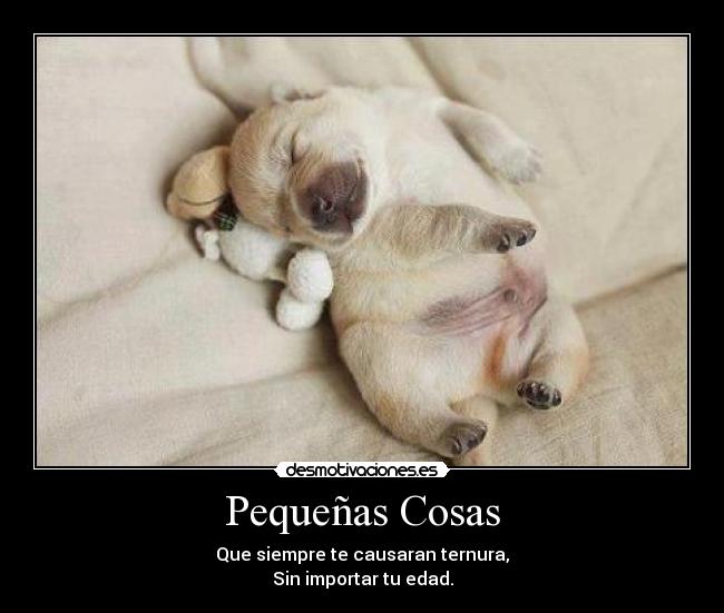 Pequeñas Cosas - Que siempre te causaran ternura,
Sin importar tu edad.