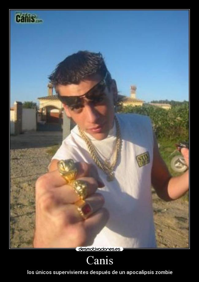 Canis - los únicos supervivientes después de un apocalipsis zombie