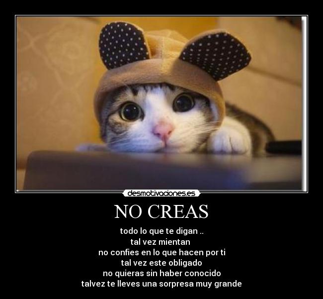 NO CREAS - todo lo que te digan ..
tal vez mientan 
no confies en lo que hacen por ti
tal vez este obligado
no quieras sin haber conocido
talvez te lleves una sorpresa muy grande