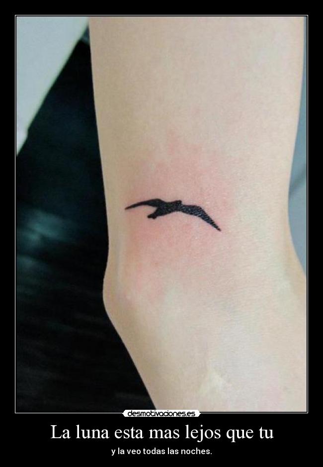 La luna esta mas lejos que tu -