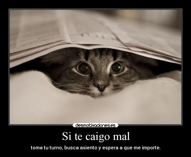 Si te caigo mal - toma tu turno, busca asiento y espera a que me importe.