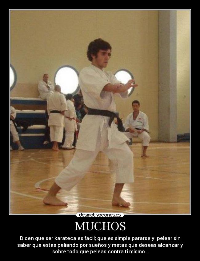 carteles tincho firulete chiodi desmotivaciones