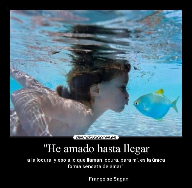 He amado hasta llegar - 