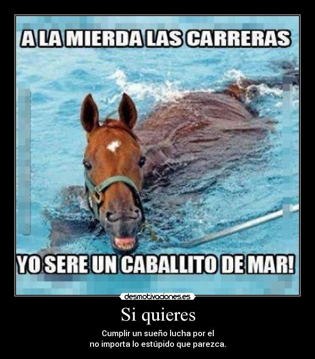 Si quieres - Cumplir un sueño lucha por el
no importa lo estúpido que parezca.