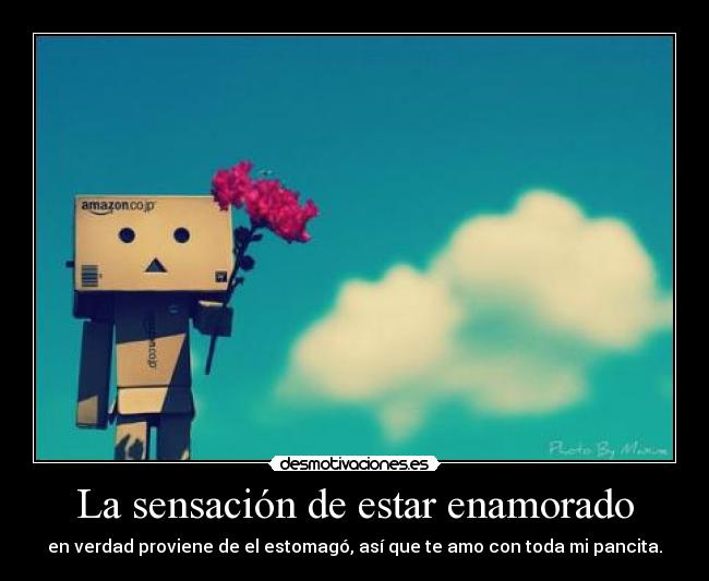 La sensación de estar enamorado -