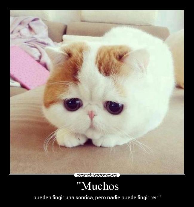 Muchos - 