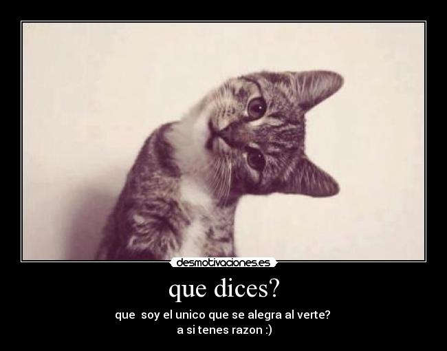 que dices? - que soy el unico que se alegra al verte?
a si tenes razon :)