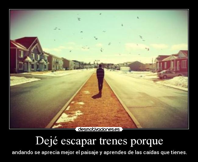 Dejé escapar trenes porque -