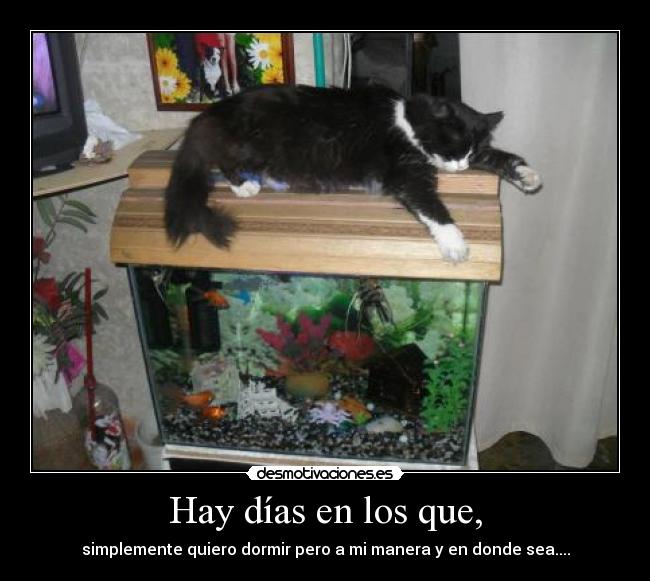 Hay días en los que, - simplemente quiero dormir pero a mi manera y en donde sea....