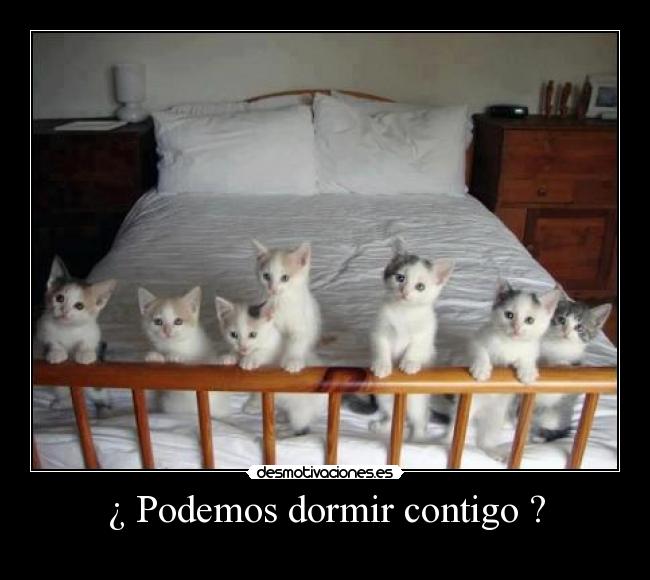 ¿ Podemos dormir contigo ? -