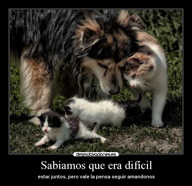 Sabiamos que era difícil - 