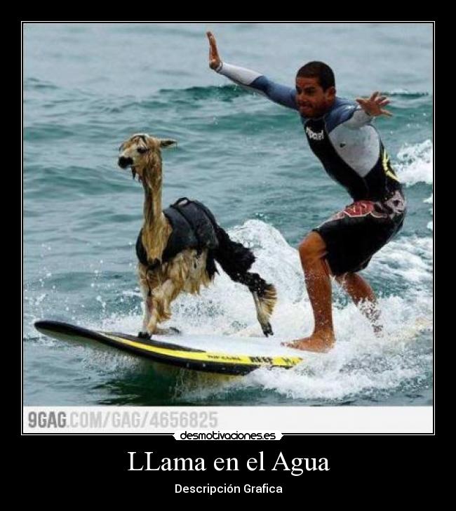 LLama en el Agua - Descripción Grafica