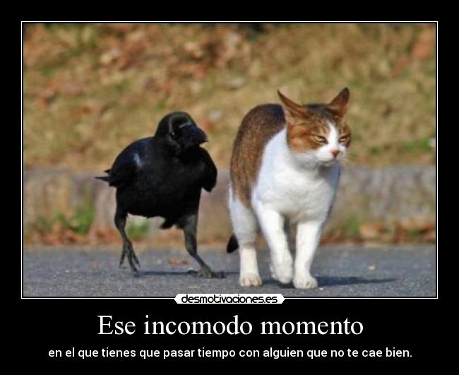 Ese incomodo momento - 