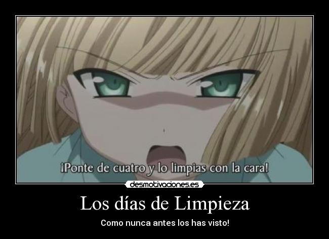Los días de Limpieza - Como nunca antes los has visto!