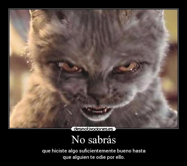 No sabrás - que hiciste algo suficientemente bueno hasta
que alguien te odie por ello.