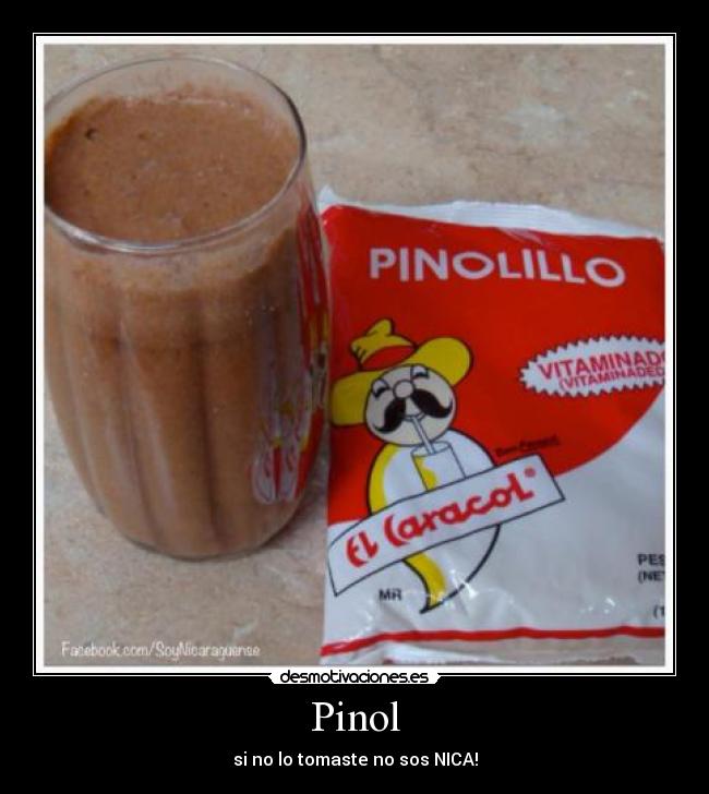 Pinol - si no lo tomaste no sos NICA!